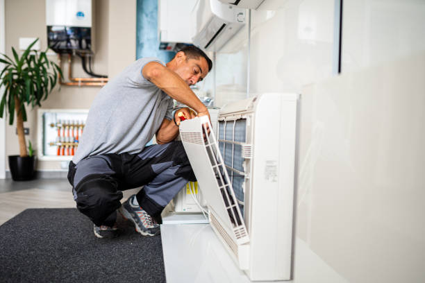 Air Duct Mold Removal in NC